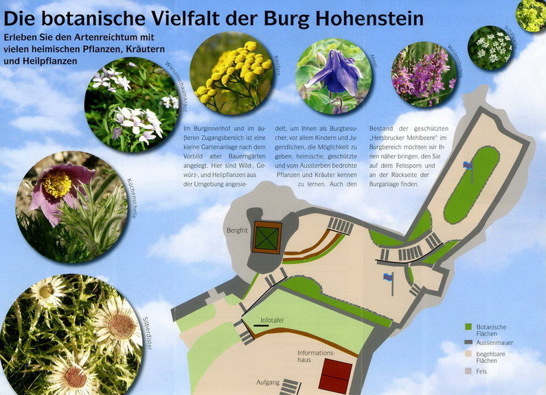 Burg Hohenstein Aktuelles